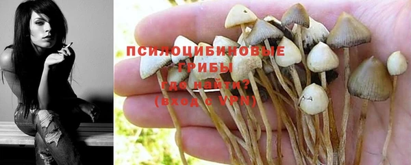 2c-b Абдулино