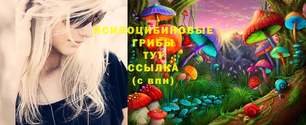2c-b Абаза