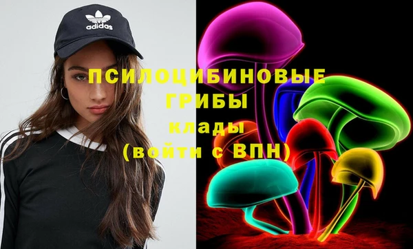 2c-b Абдулино